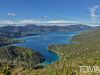 Tomas Gonzalez de Rosenzweig - Queen Charlotte Track, Picton, New Zealand